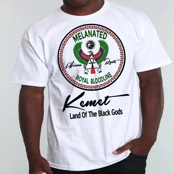 Футболка Kemet с изображением древнеегипетских иероглифов, меланина, Нубии, знаний о себе и о мире, VII