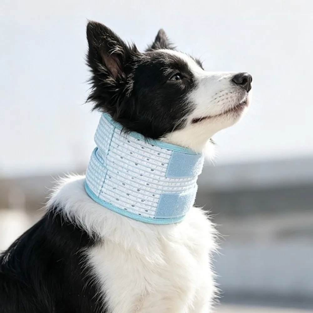 Adjustable Cat Recovery Collar Soft Comfortable Dog Neck Support Collar Breathable Cat Elizabethan Collar Taking a Shower