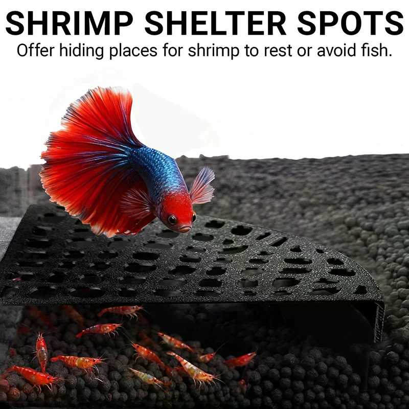 Shrimp Cav Space-Sa…