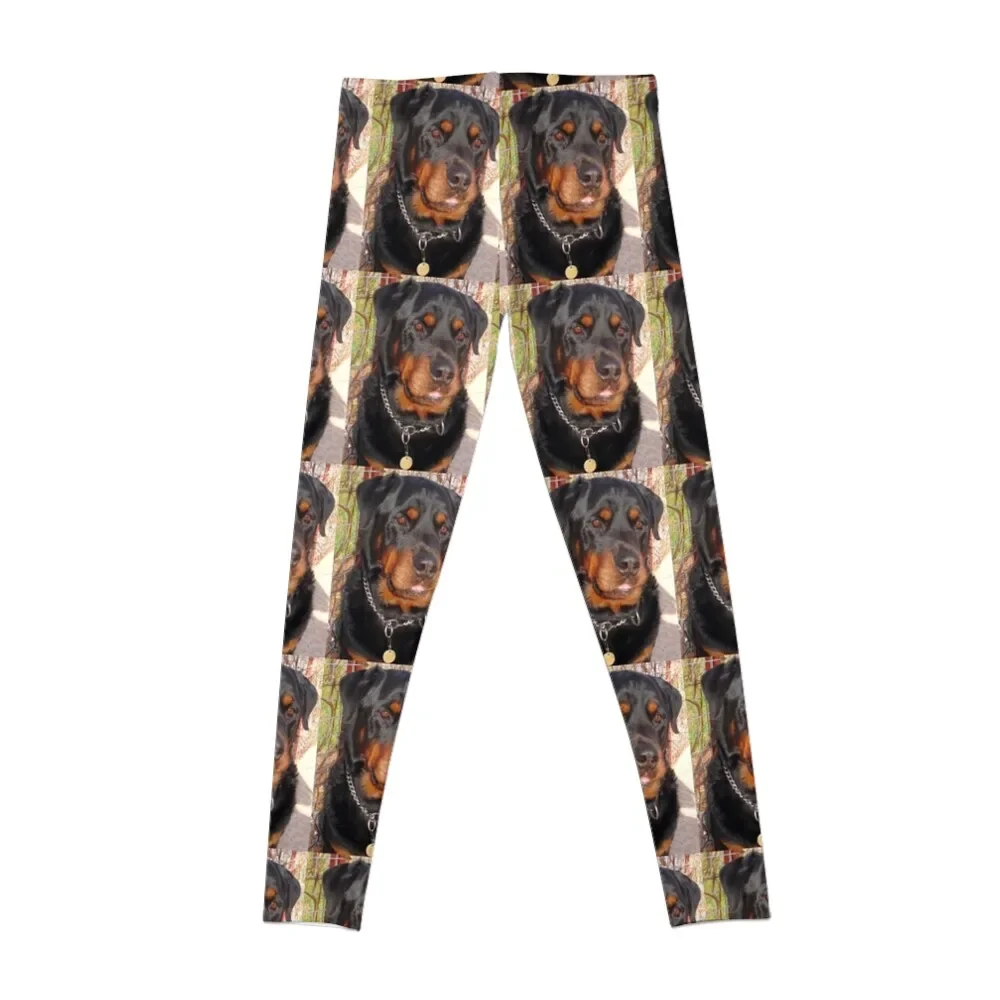 Mature Male Rottweiler Photo Portrait Leggings sports shirts gym for fitness Womens Leggings