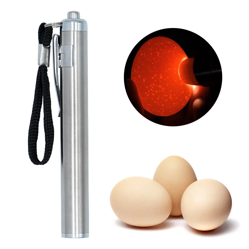 1Pcs Egg Candler Tester High Intensity Cool LED Light Candling Lamp Rechargeable For All Types Egg Broody Or Incubator Monitor