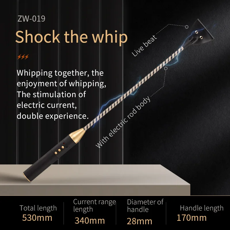 Electric Shock Training Series, Pulse Horse Whip, Electro Spanking Paddle, Spanking Stick Bat, BDSM, Sex Games, Adult Sex Toys view 5