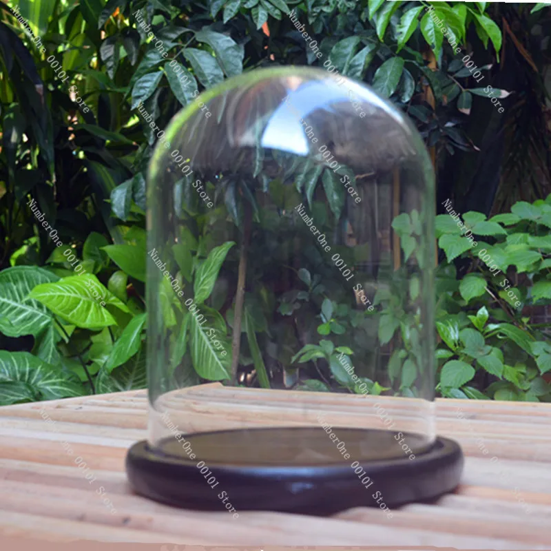 Glass Dome for Eternal Flower, Large Transparent Micro Landscape Display Cover, Dustproof Living Room Home Decor Ornament