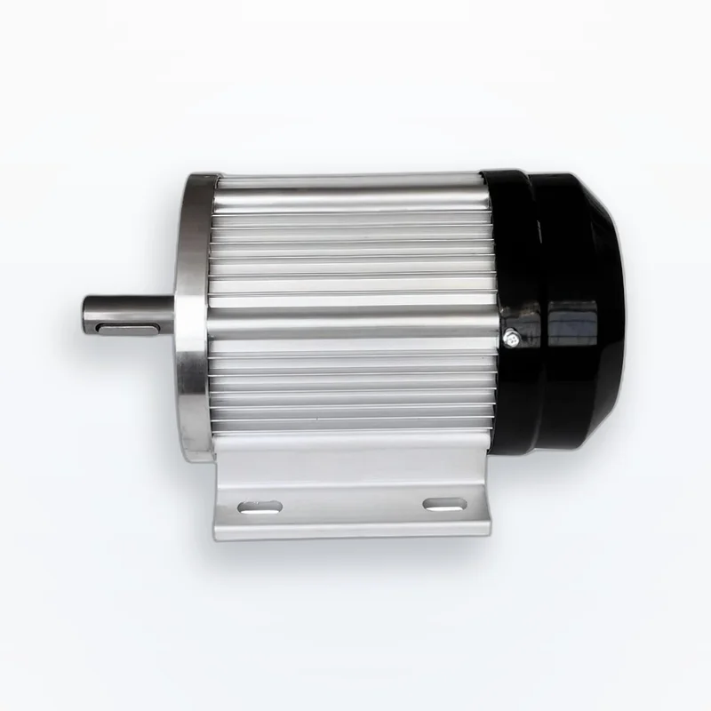 3000W/4000W 48V-72V High Torque BLDC Electric Engine 1700-3600 RPM 24mm Keyed Shaft 250mm Frame for Cleaner Industrial Machinery