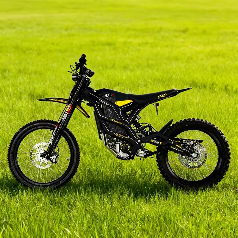 79bike GT 120KM MAX Range Full Suspension Dirt E Bike Motorcycle