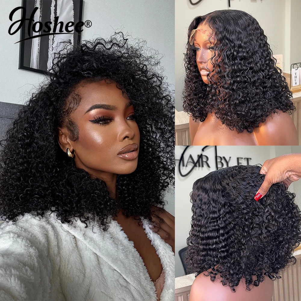 

Bouncy Curly Lace Front Wig Human Hair Pre Plucked Brazilian 4x4 Lace Closure Human Hair Wigs For Women Kinky Curly Wig 250%