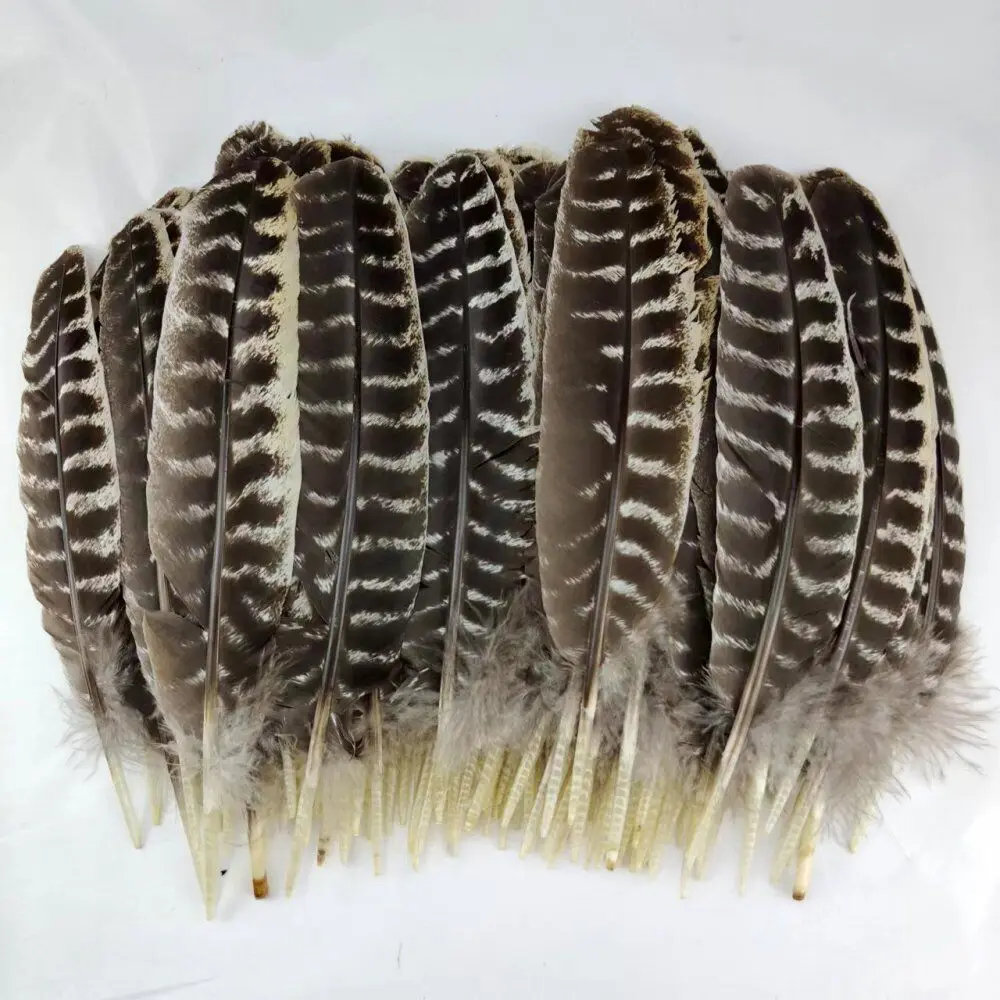 30-33CM/12-13INCH Long Super Quality And Wide 6CM Turkey Wings Feathers