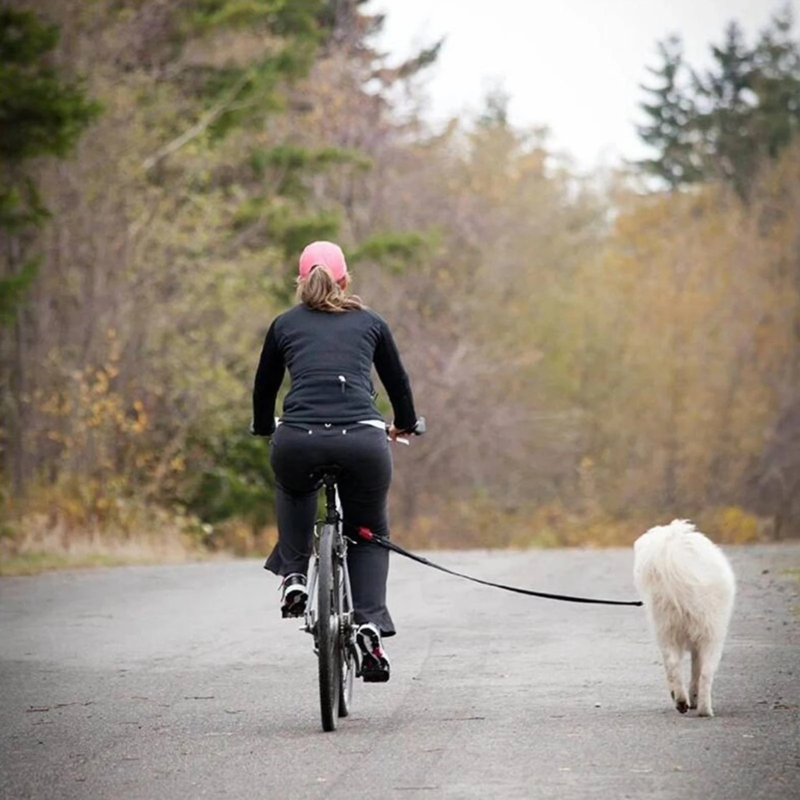 Cycle-Mounted Dog-Walking Leash Handsbicycle Dog Lead with Elastic Leash Pet Accessory Adjustable Quick Install