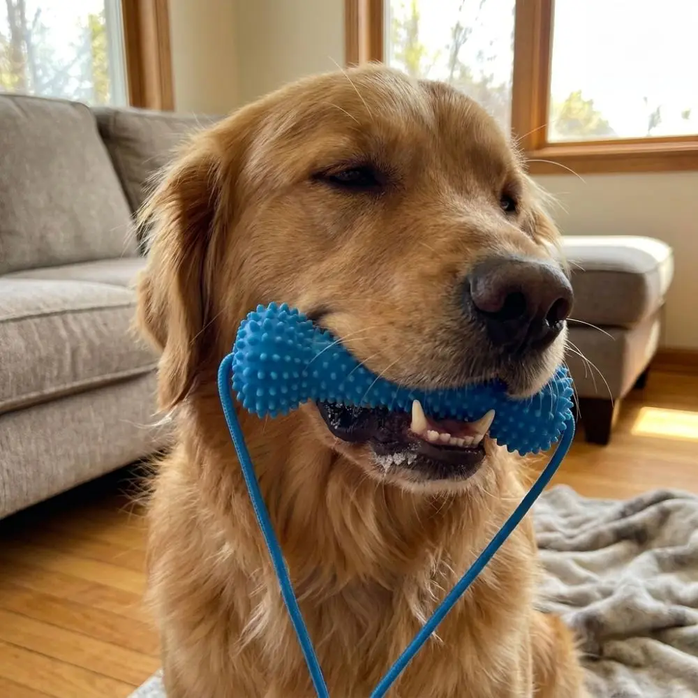 Bite-Resistant Dog Teething Stick Anti-choking Chew-resistant Pet Teeth Cleaning with Rope Dog Chew Stick Interactive Tug