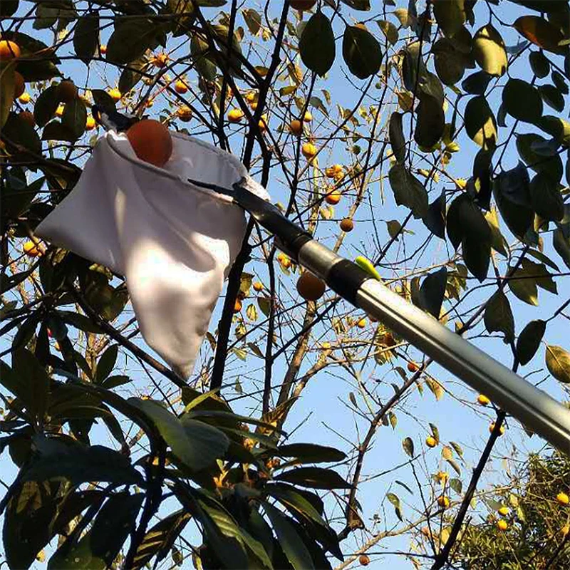 Fruit Picker Basket Telescopic Pole - Raccogli Frutta Telescopico Professionale con Manico