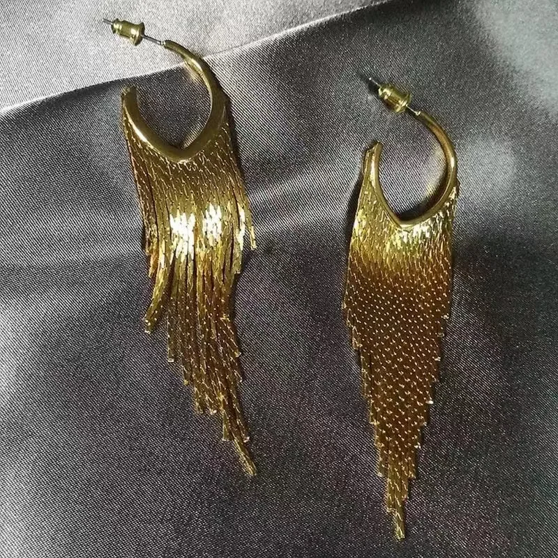 Fashion temperament fringed earrings women's simple new ins trendy Internet celebrity cold wind stud earrings