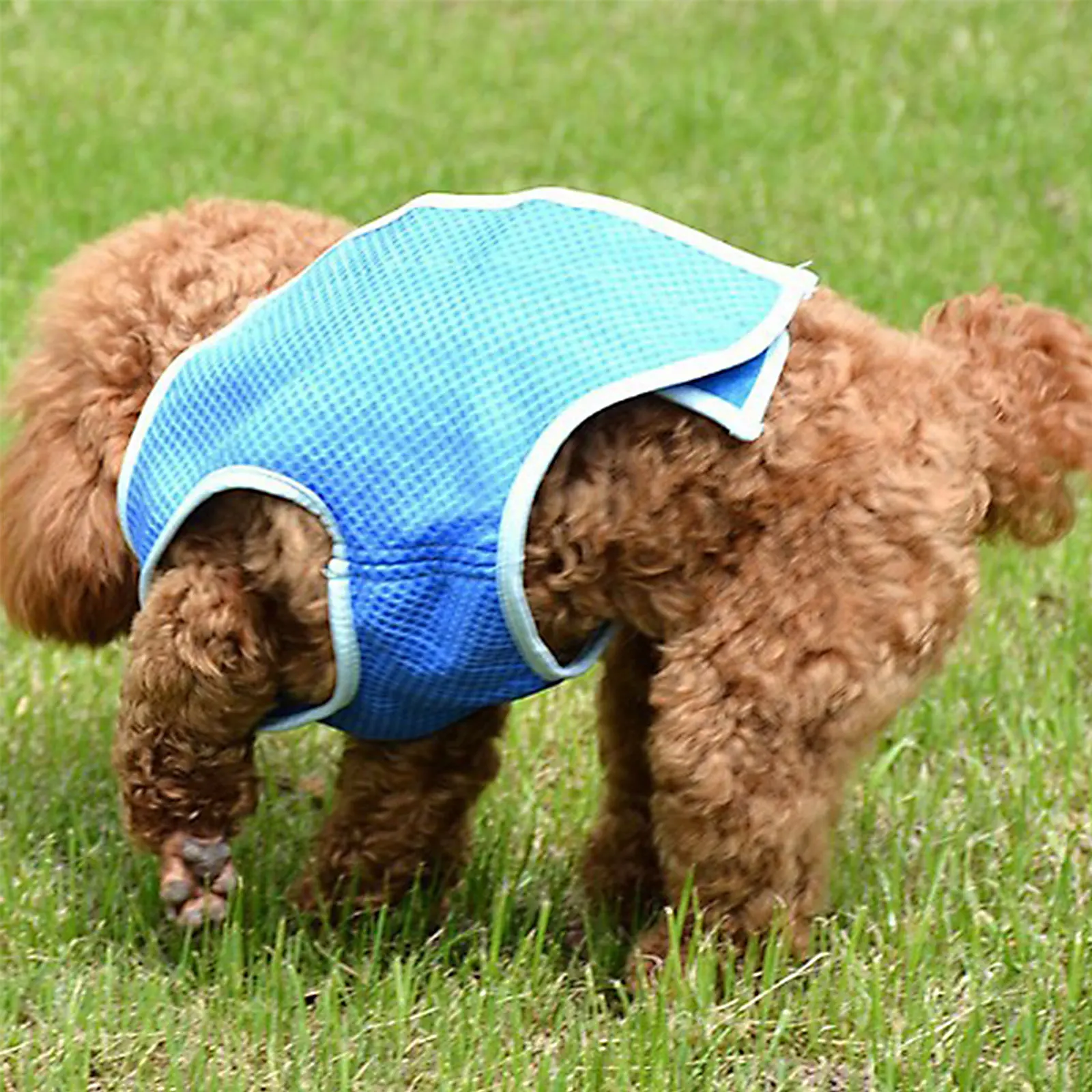 

Dog Cold Vest Keep Dogs Cool in Summer Cooling for and Comfortable Coat Shirts Pets Vests