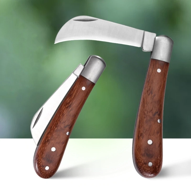 مجموعة صغيرة من سكاكين الفطر المصنوعة من الخشب مقبض للاستخدام الخارجي لأغراض الصيد والصيد متعددة الوظائف سكاكين حادة قابلة للطي سكاكين يدوية