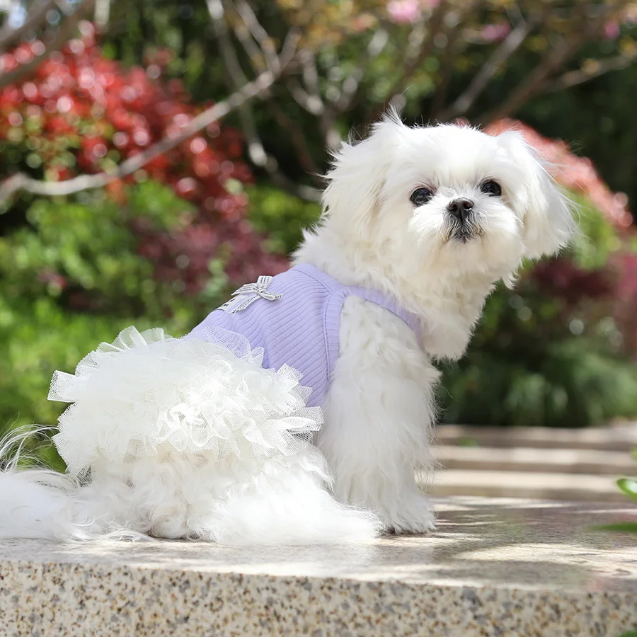 Ropa para gatos y perros: Falda de malla con volantes – Verano - imagen 3