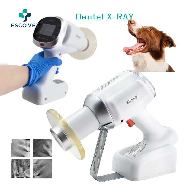 

Veterinary Dental Equipment Sensor Digital Processor Portable Veterinary Dental X Ray Machine