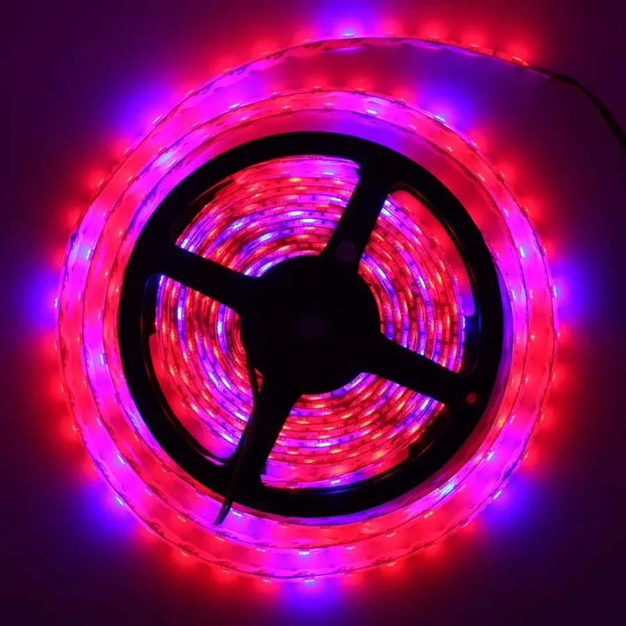 50meter Red Blue 3:1 4:1 Flower Plant Grow Lights 5m Waterproof Full Spectrum LED Strip Phyto Lamp For Greenhouse Hydroponic