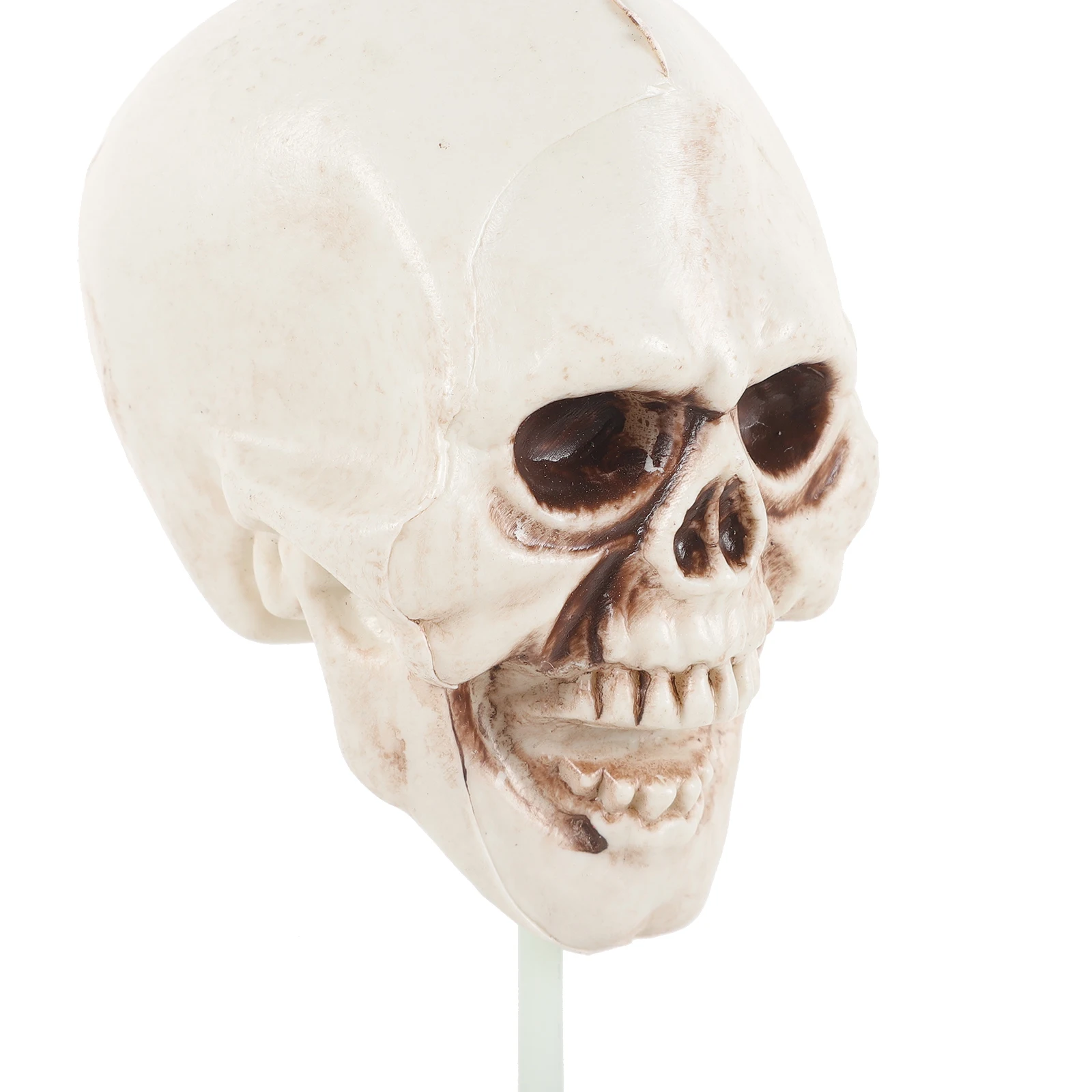 

2 Pcs Decorations Skull Halloween Stake Garden The Sign Outdoor Ornaments Ground Inserts