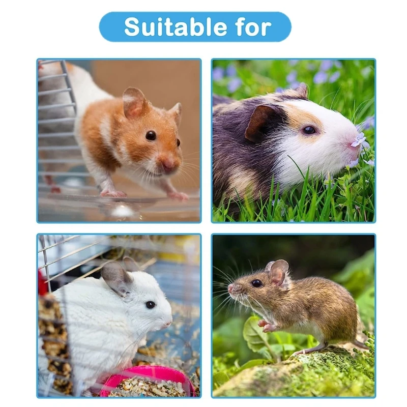Mangeoire à nourriture pour Hamsters, jeu Puzzle en bois, planche d'alimentation pour lapins, cochons d'inde, Chinchillas,