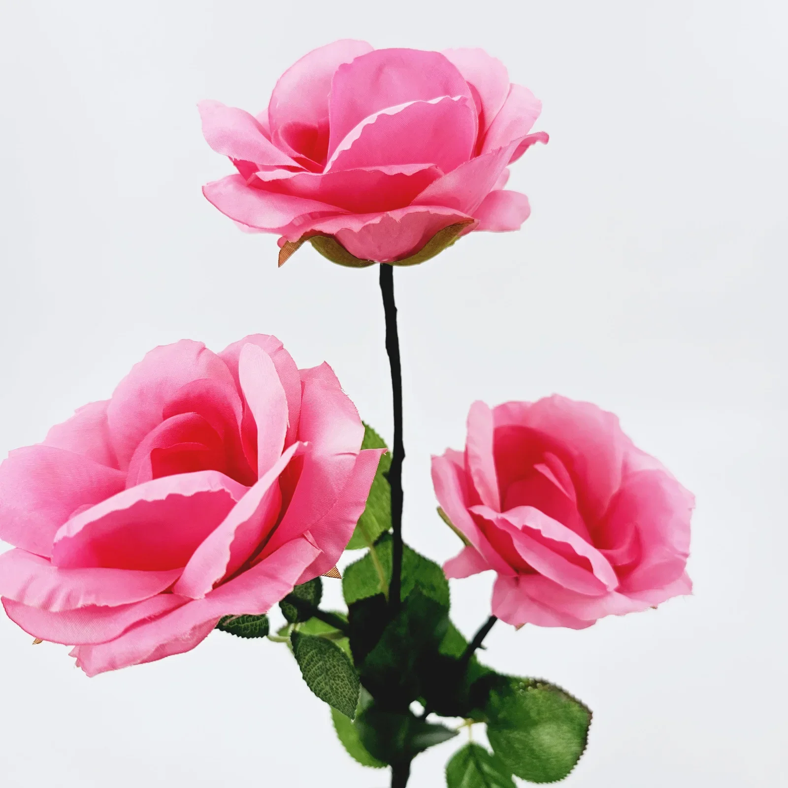 

Charging Version Super Light Rose Queen Magic Tricks Magician Stage Bar Party Magia Show Wedding Gimmick Props Bar Trick