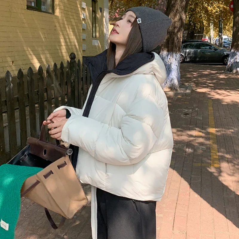 New Women's Cropped Down Cotton Jacket Trend Contrast Color Scarf Collar Cotton-Padded Coat Korean Versatile Puffer Bread Jacket