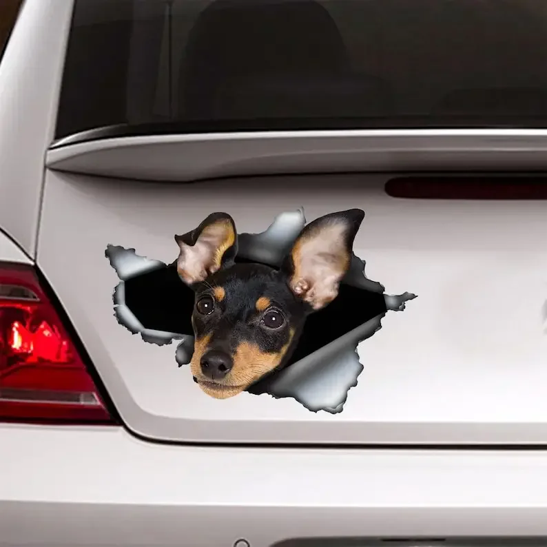 Miniature pinscher car decal , Miniature pinscher magnet, car decoration, pinscher sticker