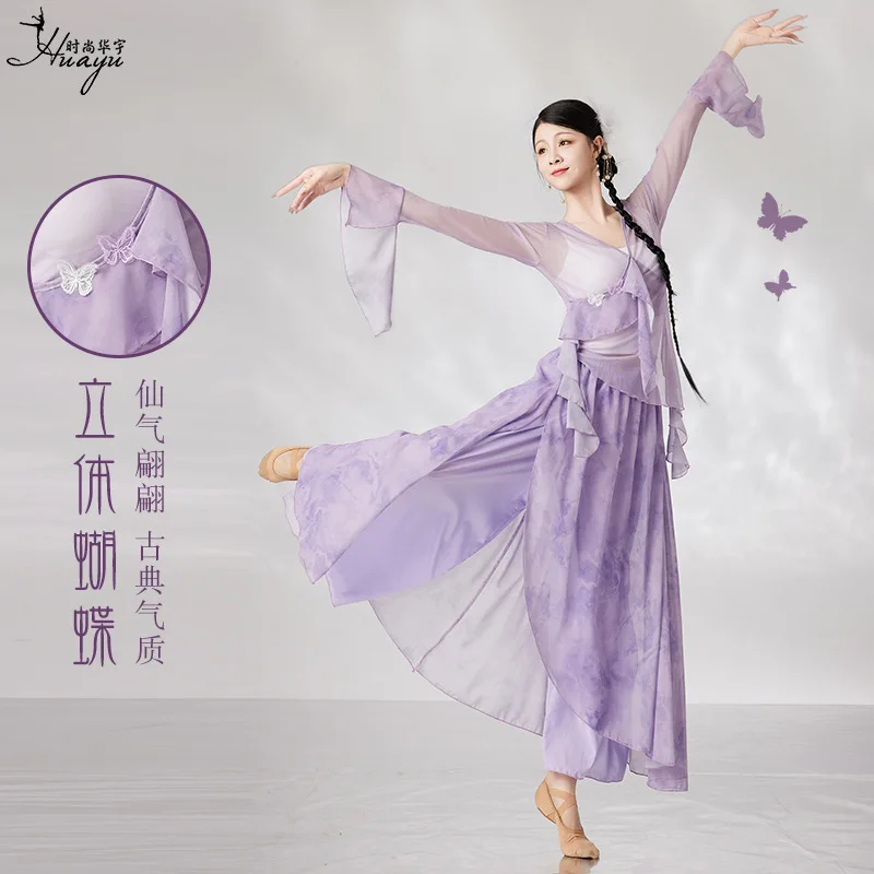 

Classical Dance Costume Butterfly Gauze Body Rhythm Practice Flowing Top Chinese Dance Fairy Performance Costume Set