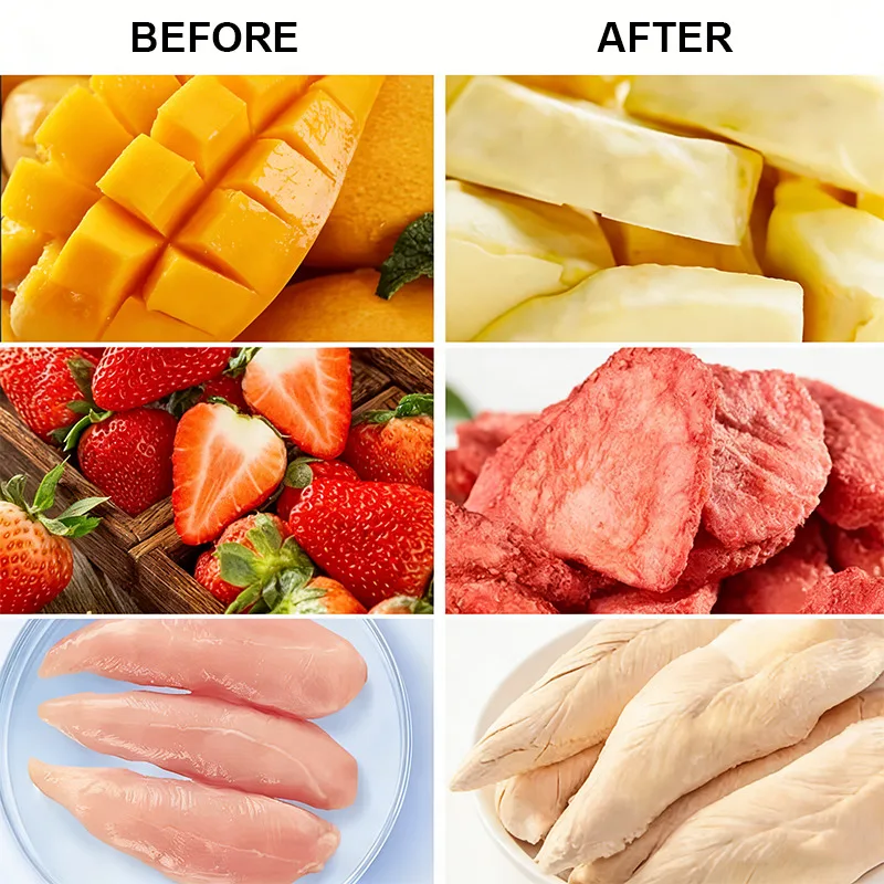 Mini Home-Use Fruit And Vegetable Dryer For Small Businesses, Automatic Vacuum Freeze Dryer, Stainless Steel Material, 5Kg