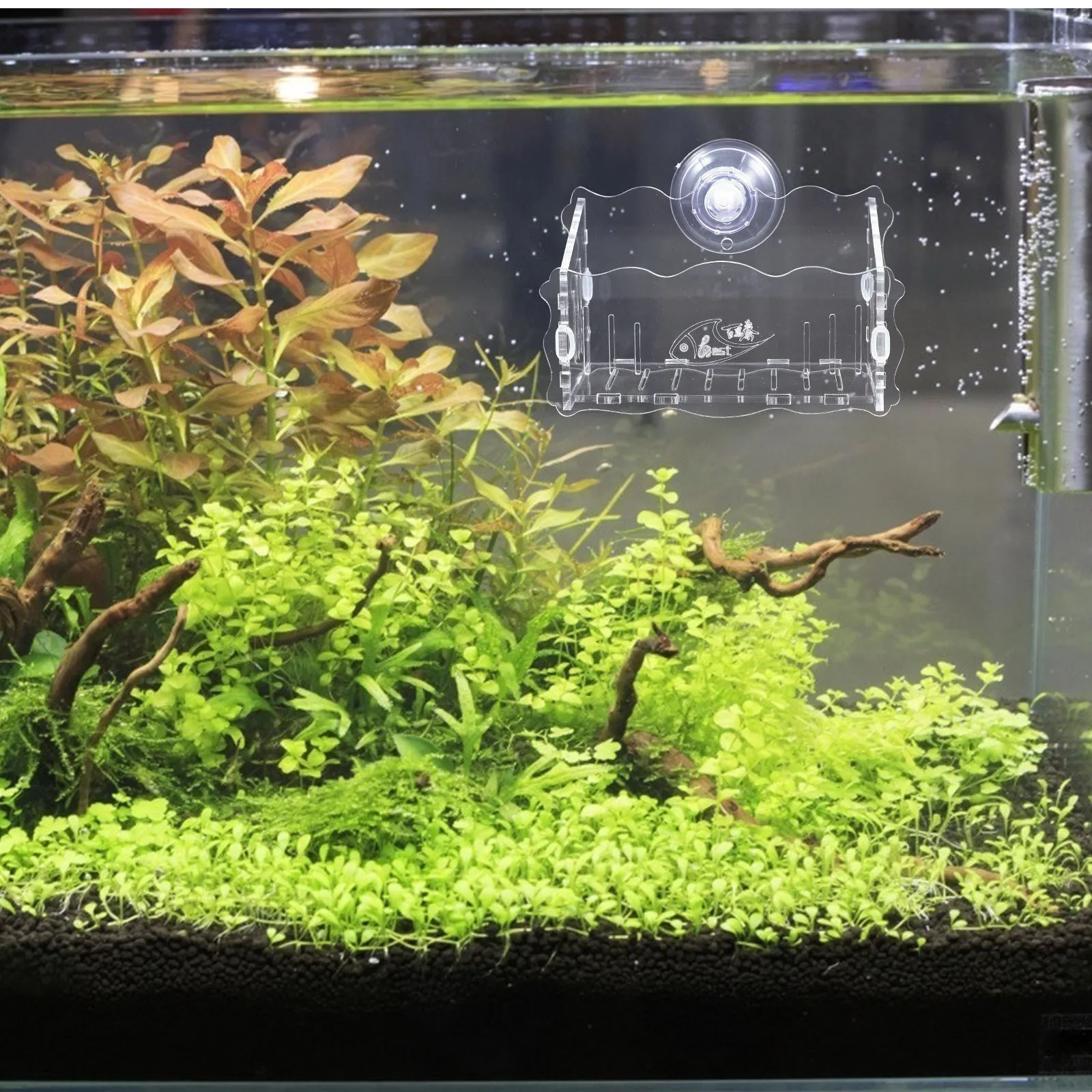 

Fish Tank Planter Cup Clear Acrylic Aquarium Planter Durable Suction Cup Design Water Plants Holder Water Plants Holder