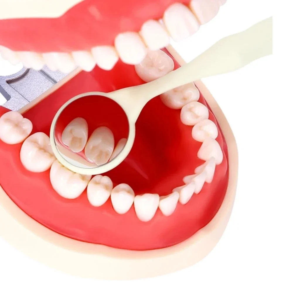 10 sztuk stomatologii dwustronne lusterka ustne Premium przednia powierzchnia w autoklawie dentystyczna ortodontyczna lusterko do ust reflektor do