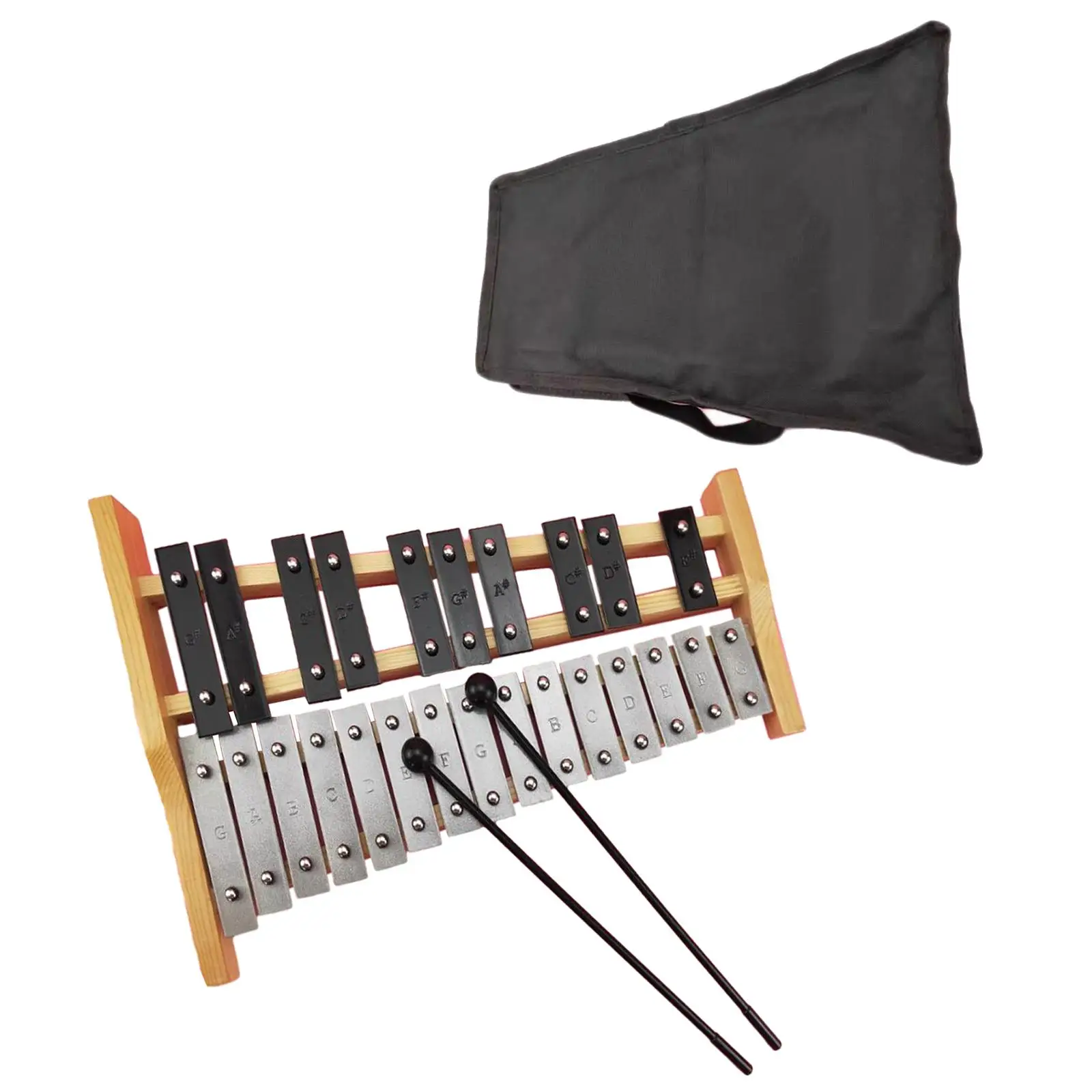 25 Note Glockenspiel, Music Instrument Toy with Carrying Bag and Mallets,