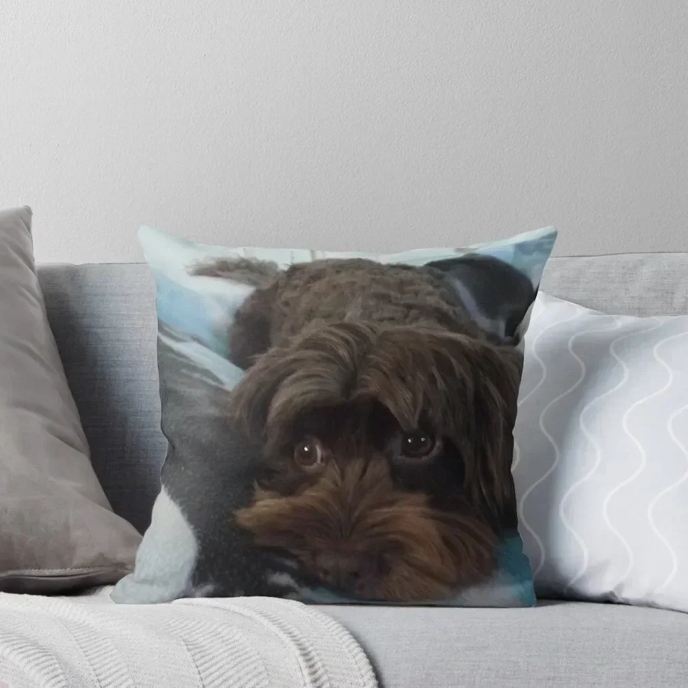 

Dark Chocolate Cockapoo Throw Pillow Cushions Luxury Pillow Case pillow