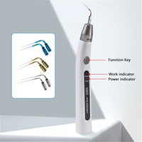 Irrigador ultrasónico Dental LED Endo Ultra activador, conducto radicular, pieza de mano de sacrificio ultrasónico con 6 puntas
