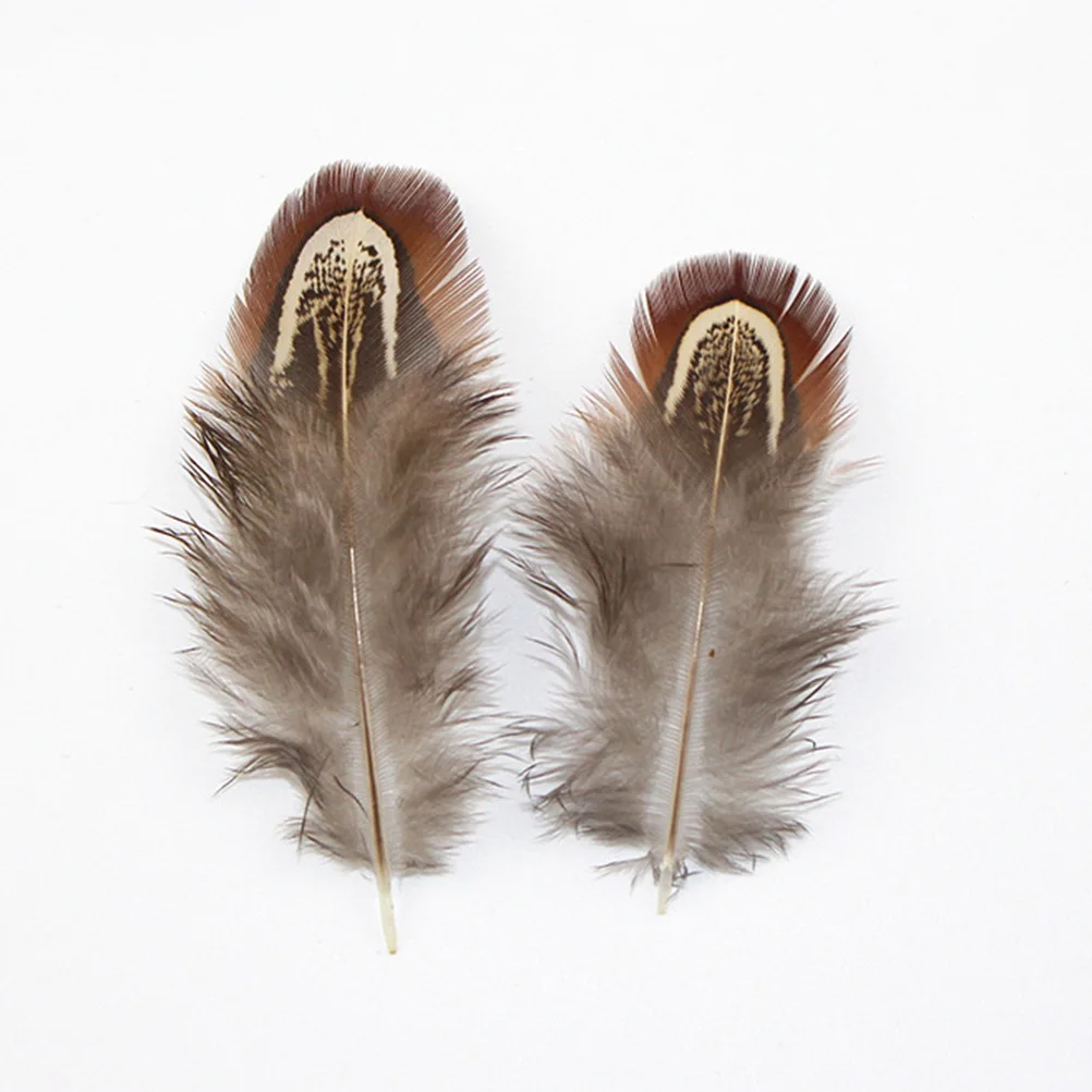 

100Pcs Real Natural 4-8Cm for DIY Crafts Party Wedding Decorations Dress-Up Accessories Arrangements Floral DIY