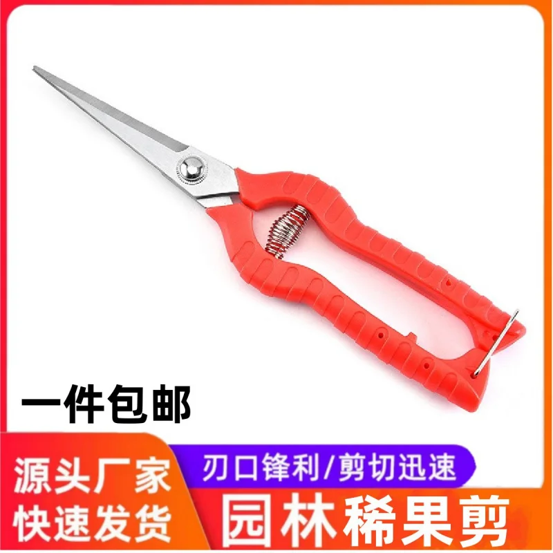 

Stainless Steel Pepper Fruit Picking Scissors Pear Fruit Scissors Medlar Flower Thinning Scissors Grape Picking Scissors Hortpar