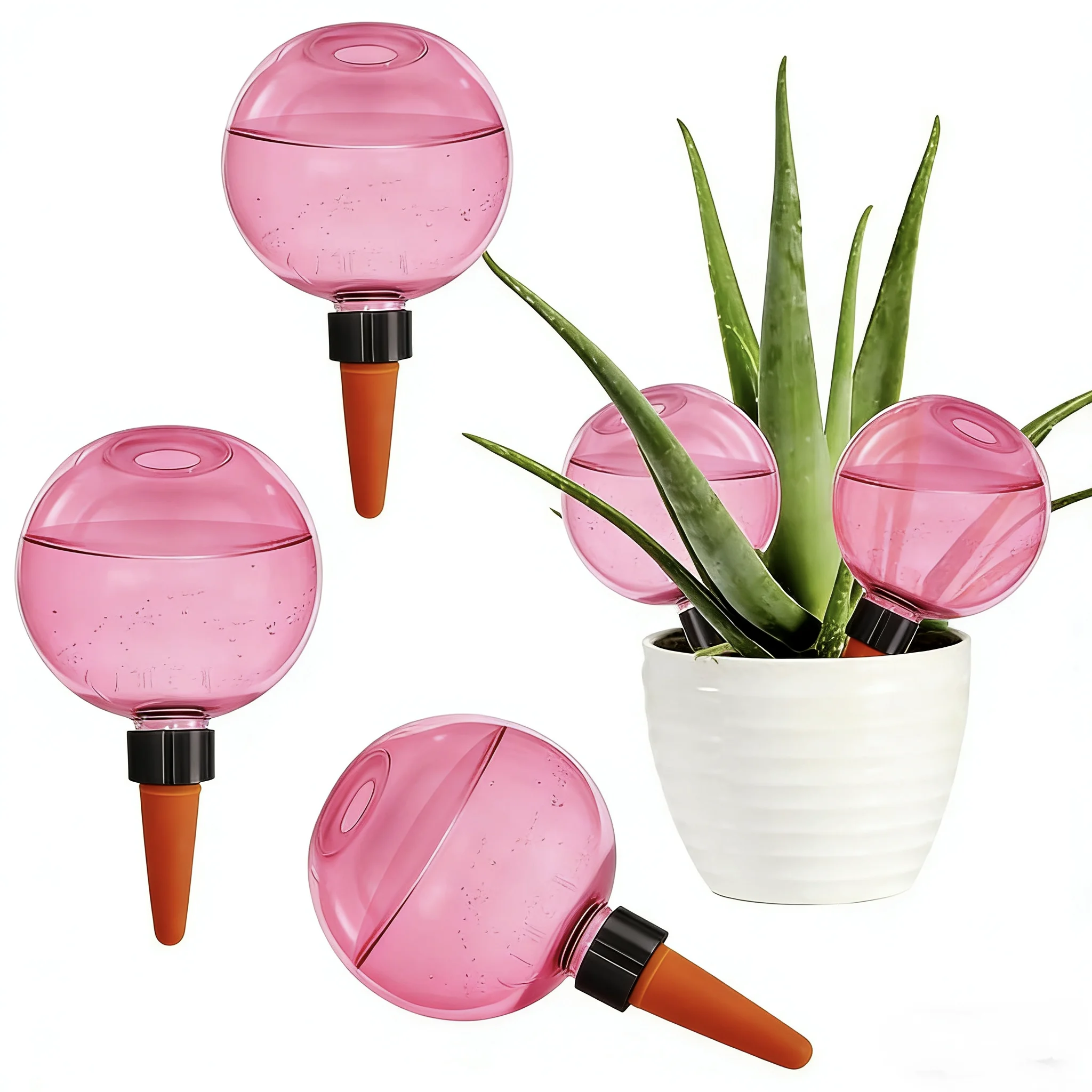 #14 Compare Watering Globes Before You Buy