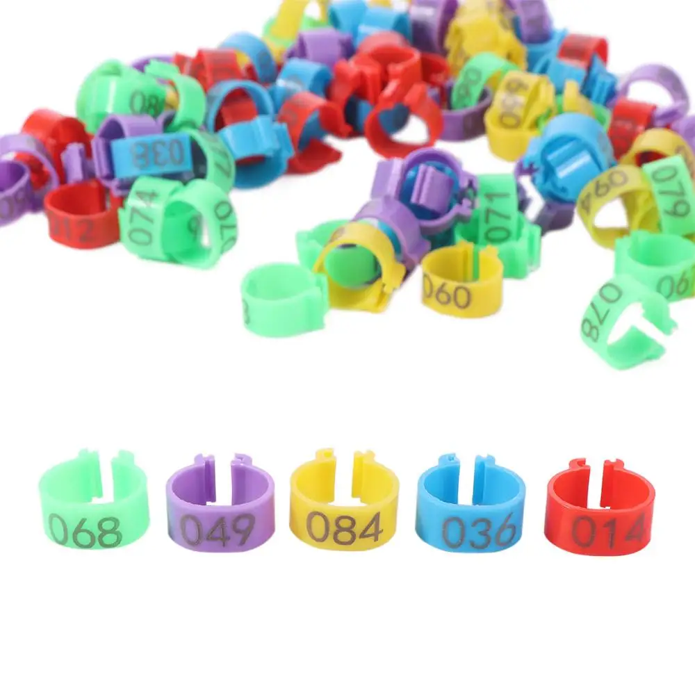 

100pcs Portable Poultry Leg Tags Mixed Colour Plastic Band Foot Ring Bird Identification 5 Colors Poultry Ankle Bands