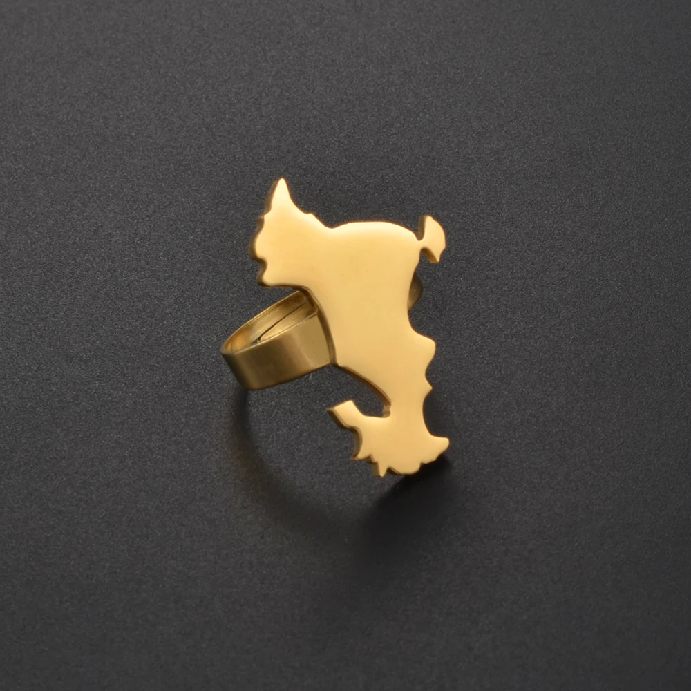 Women's Big Ring with Hyperbole Design, Stainless Steel