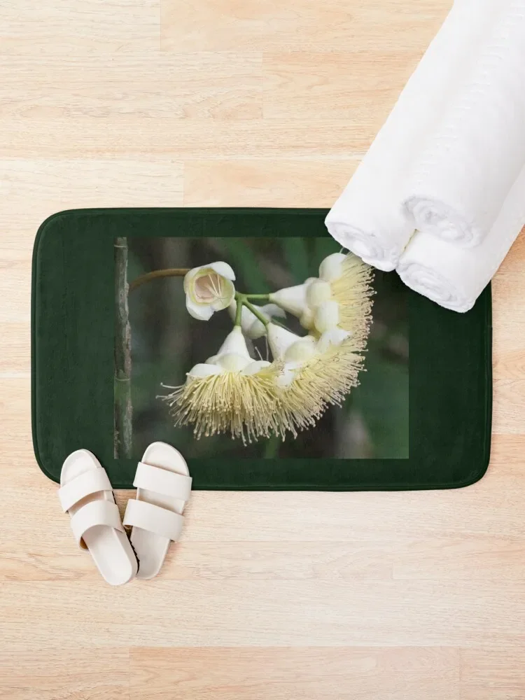 Daintree Satinash (Syzygium monospermum) flowers in bloom Bath Mat Toilet Accessories Bathroom Bathroom Rugs Mat