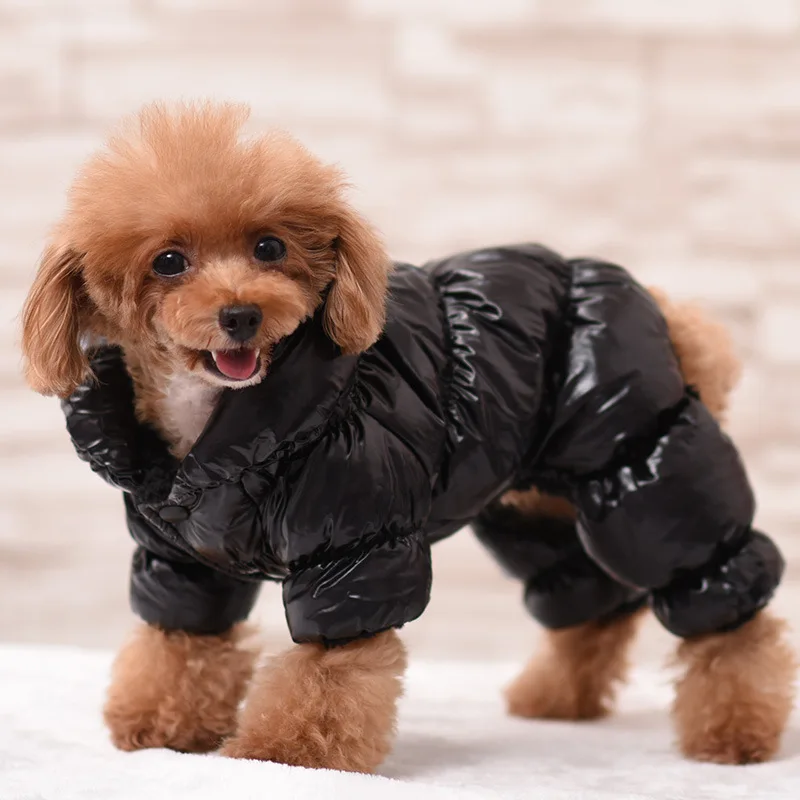 Pet Clothing Puppy Windproof Clothing Winter Dog Clothin Autumn and Winter Comfortable and Warm Home Outdoor Pet Clothing