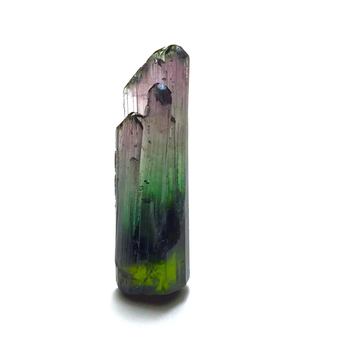 Brazilian Elbaite Crystal Samples, 10g 5-15mm Multi-Color Stones, Display Box for Collector Gift Box & Rock Collection
