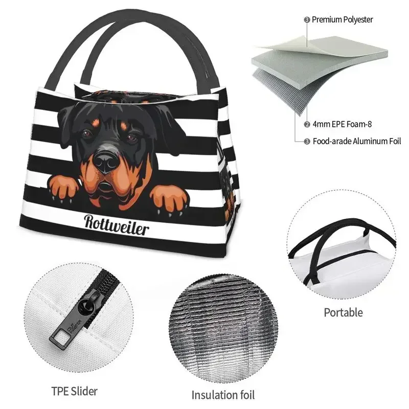 Sac à lunch personnalisé Peeking Dog Rottweiler pour hommes et femmes, glacière chaude, boîte à lunch isolée pour le bureau, sacs à lunch de voyage