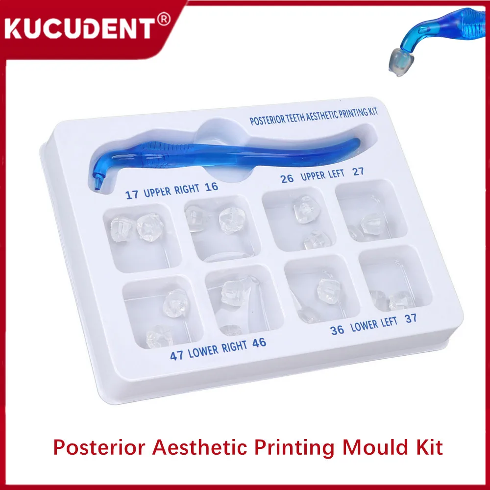 Dental Posterior Teeth Aesthetic Printing Mould Kit For Light Cure Composite Restoration Filling Quick Built Molding Tools Lab