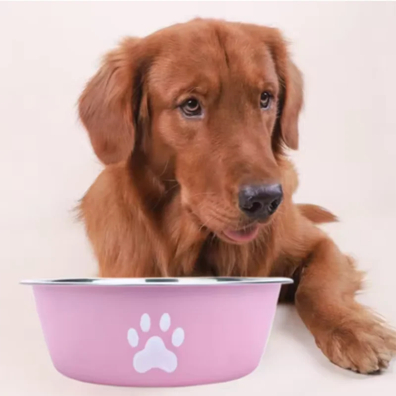 Large capacity stainless steel dog bowl anti-slip anti-rust dog water bowl pet feeder double-layer cat bowl suitable for puppies