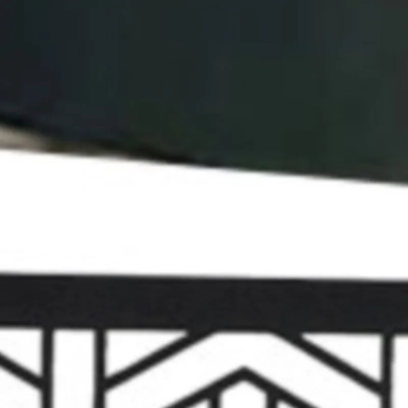 2024-2025-2026 Ninj… - image