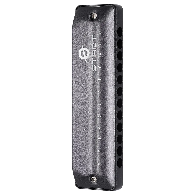 Diatonic Harmonica 12 Hole All Key Musical Instrument For Beginner Student Intermediate Player Band Rehearsal Daily Practice
