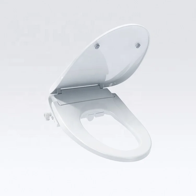 

F1L535 Waterproof Smart Bidet Toilet Seat Remote Control Chinese Low Price Wholesale