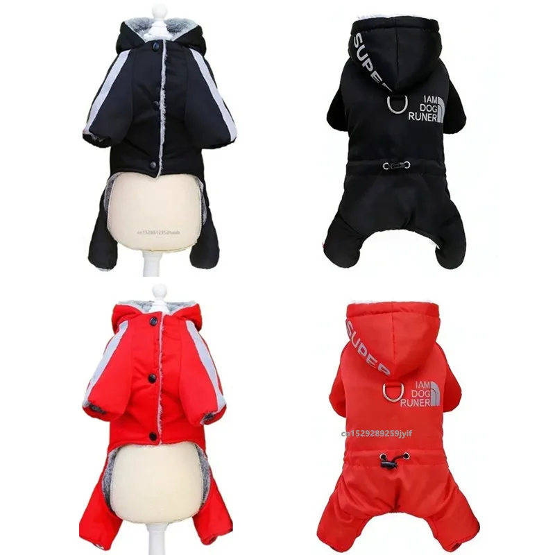 #64 Pet Apparels List of Top Picks