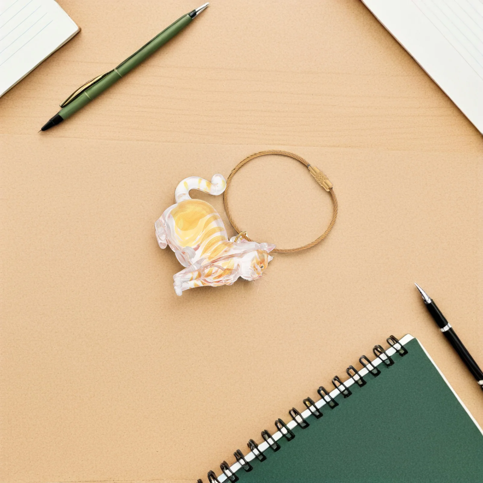 

Transparent Cat Hair Keepsake Keychain Pet Memorial Organizer Storage Box Ashes Collector Portable Lightweight Accessory