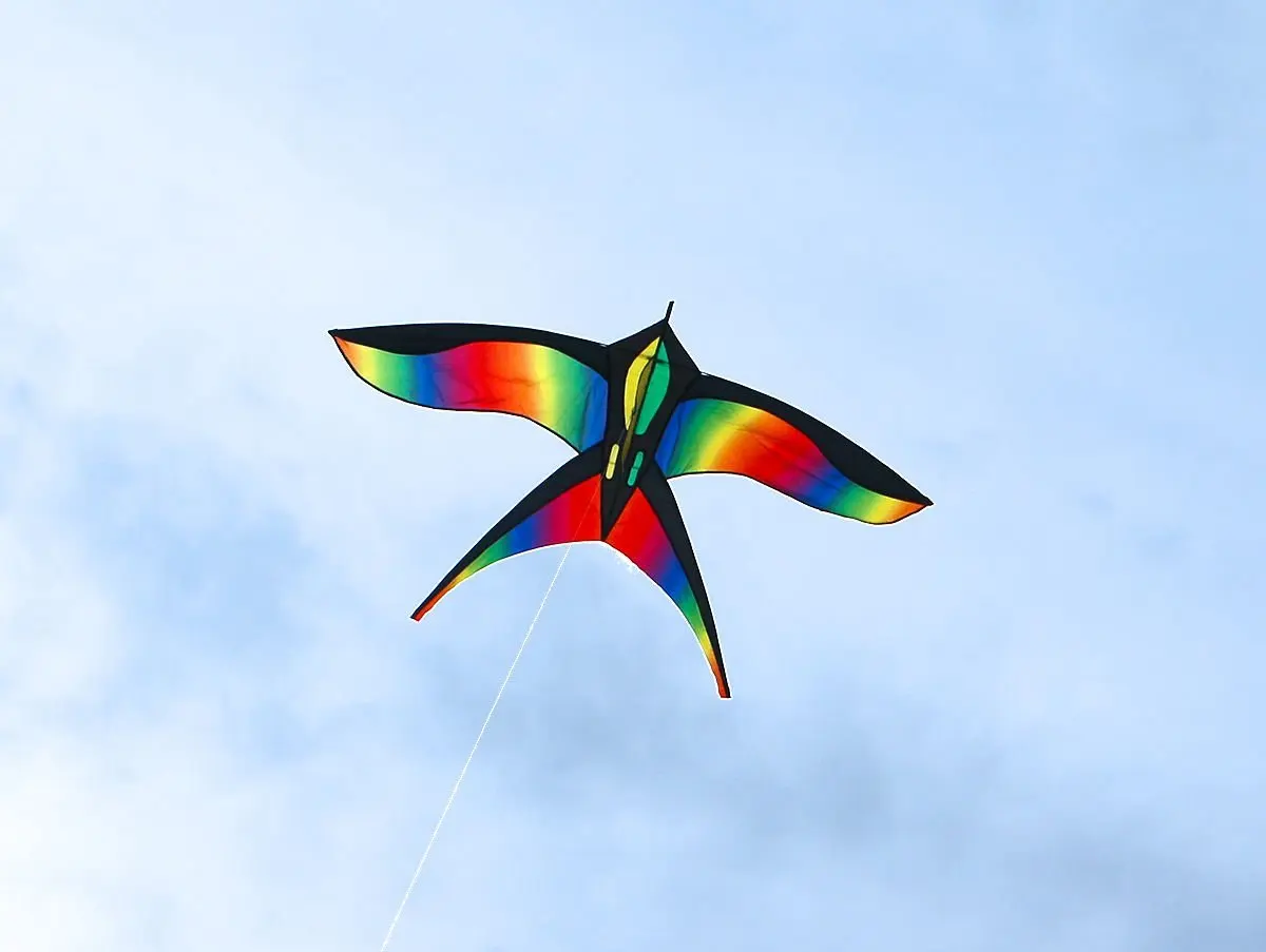 free shipping rainbow kites flying bird kites new toys for kids kites nylon kites children kites beach flying line weifang kite