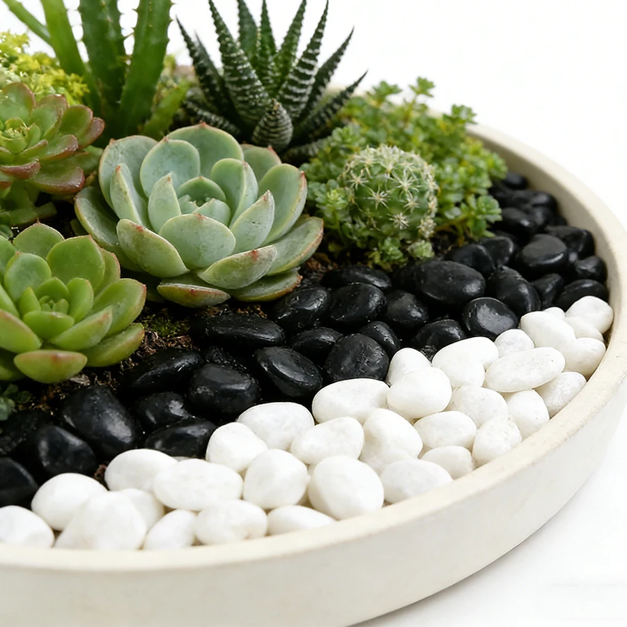 Grava Pulida Blanca para Acuar - Aquarium Plant Gravel reseña y precio